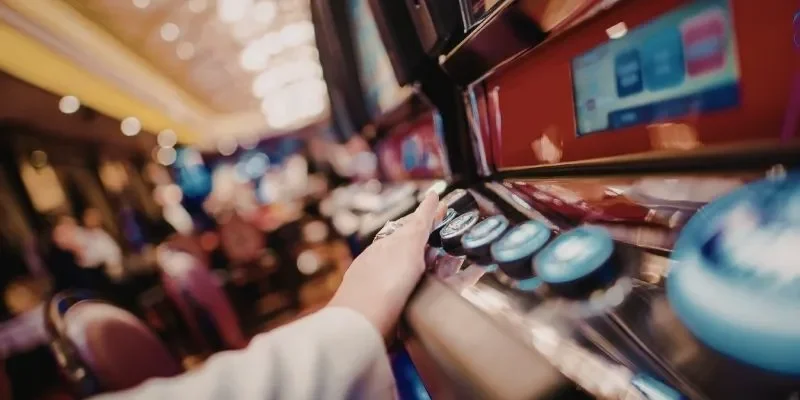 Lợi ích đặc trưng khi tham gia cược tại đây